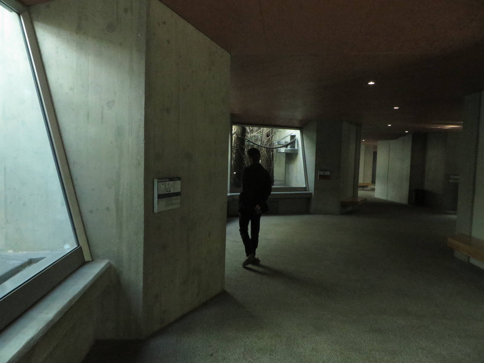 Geigy house - visitors path