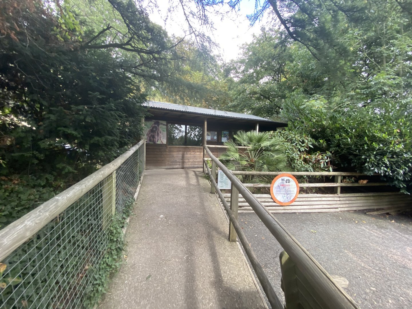 Gelada and spider monkey house