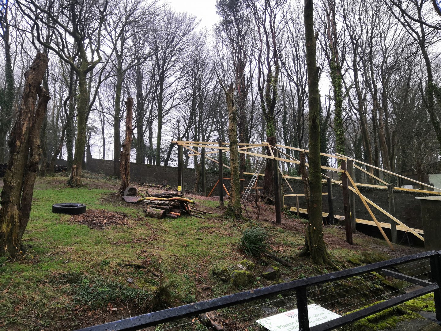 Gelada are coming to dartmoor zoo in the old bear enclosure