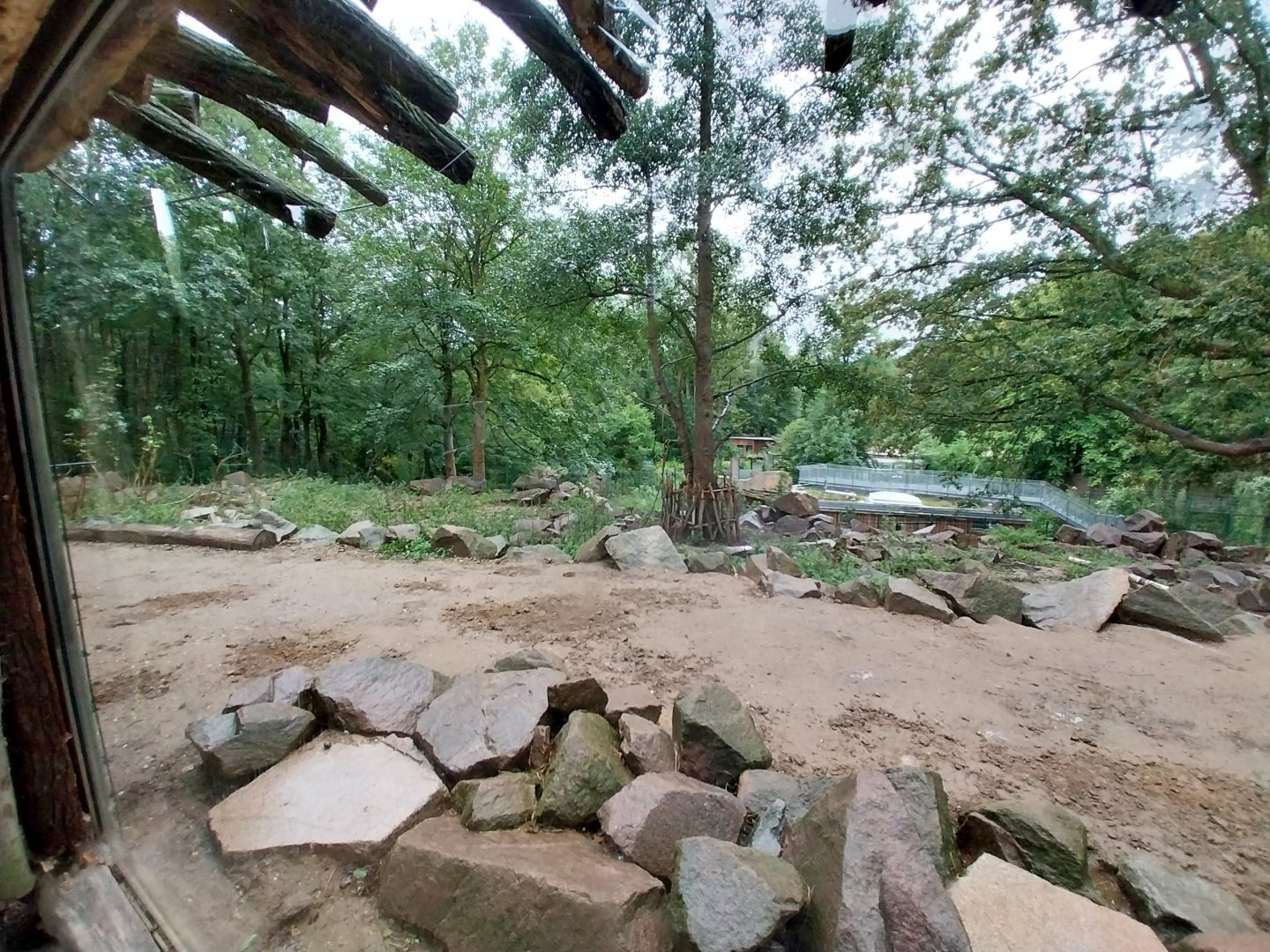 Gelada baboon and West Caucasian Tur enclosure