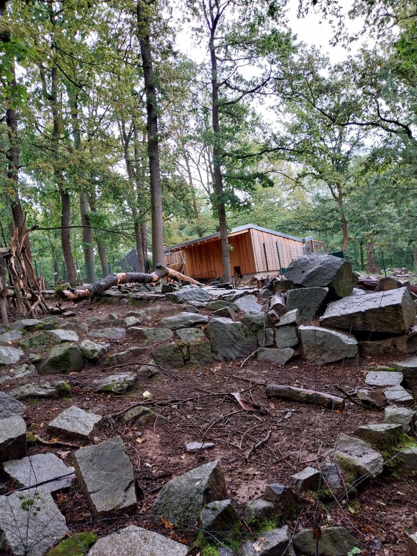 Gelada baboon and West Caucasian Tur enclosure