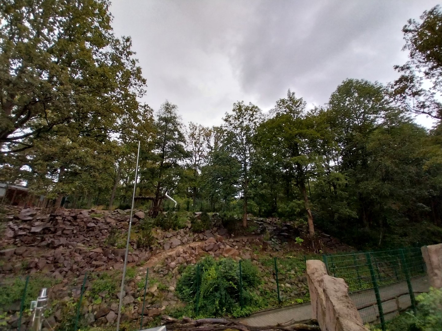 Gelada baboon and West Caucasian Tur enclosure