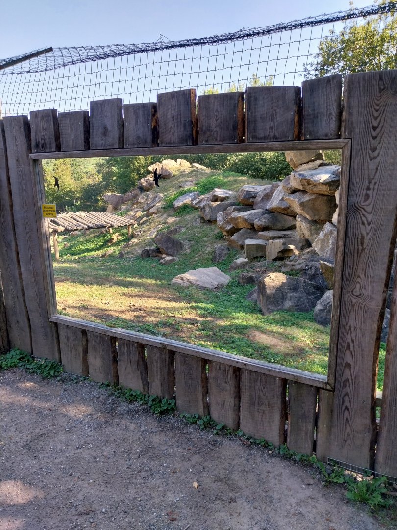 Gelada baboon enclosure viewing point