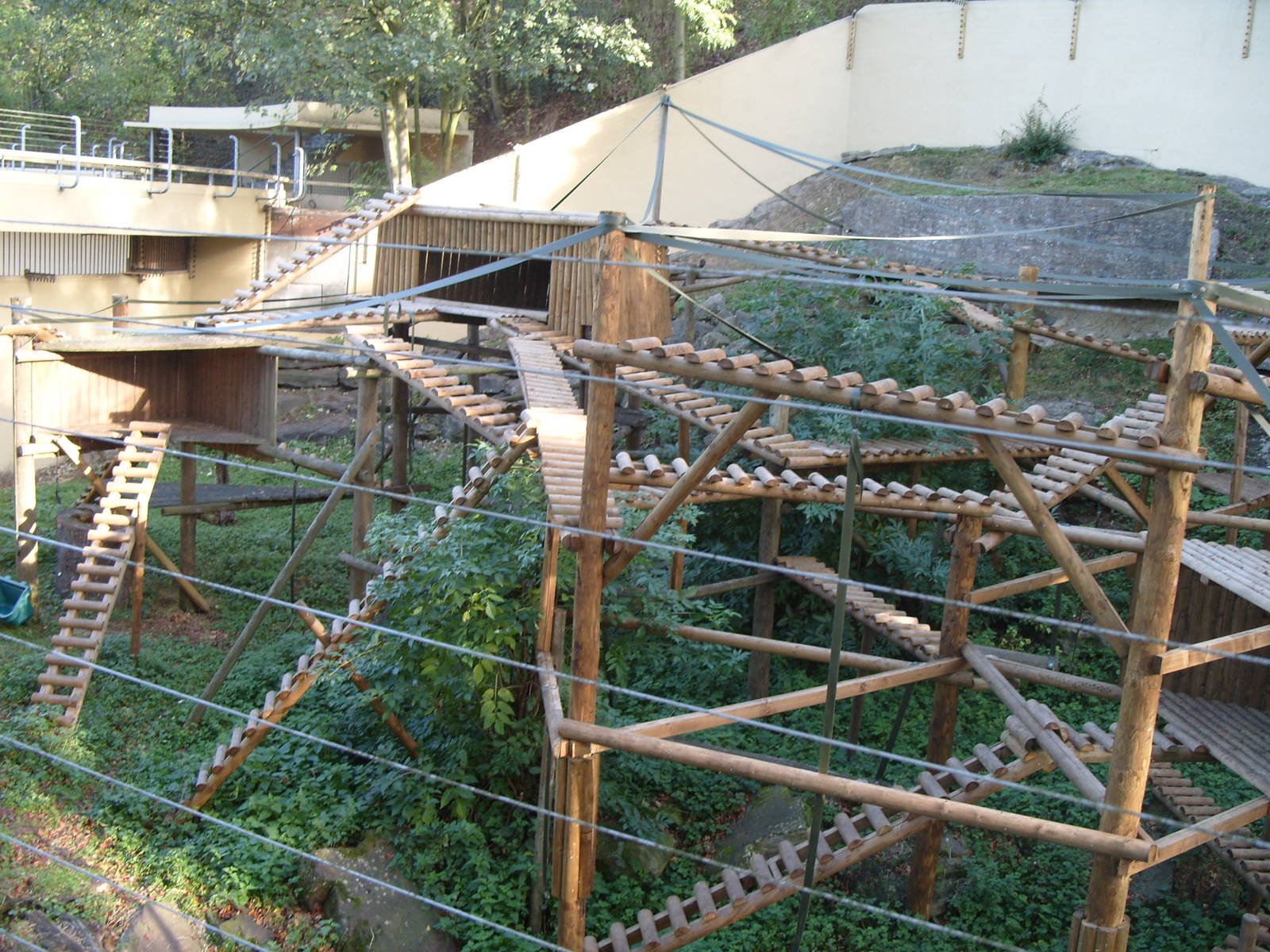 Gelada Baboon Enclosure