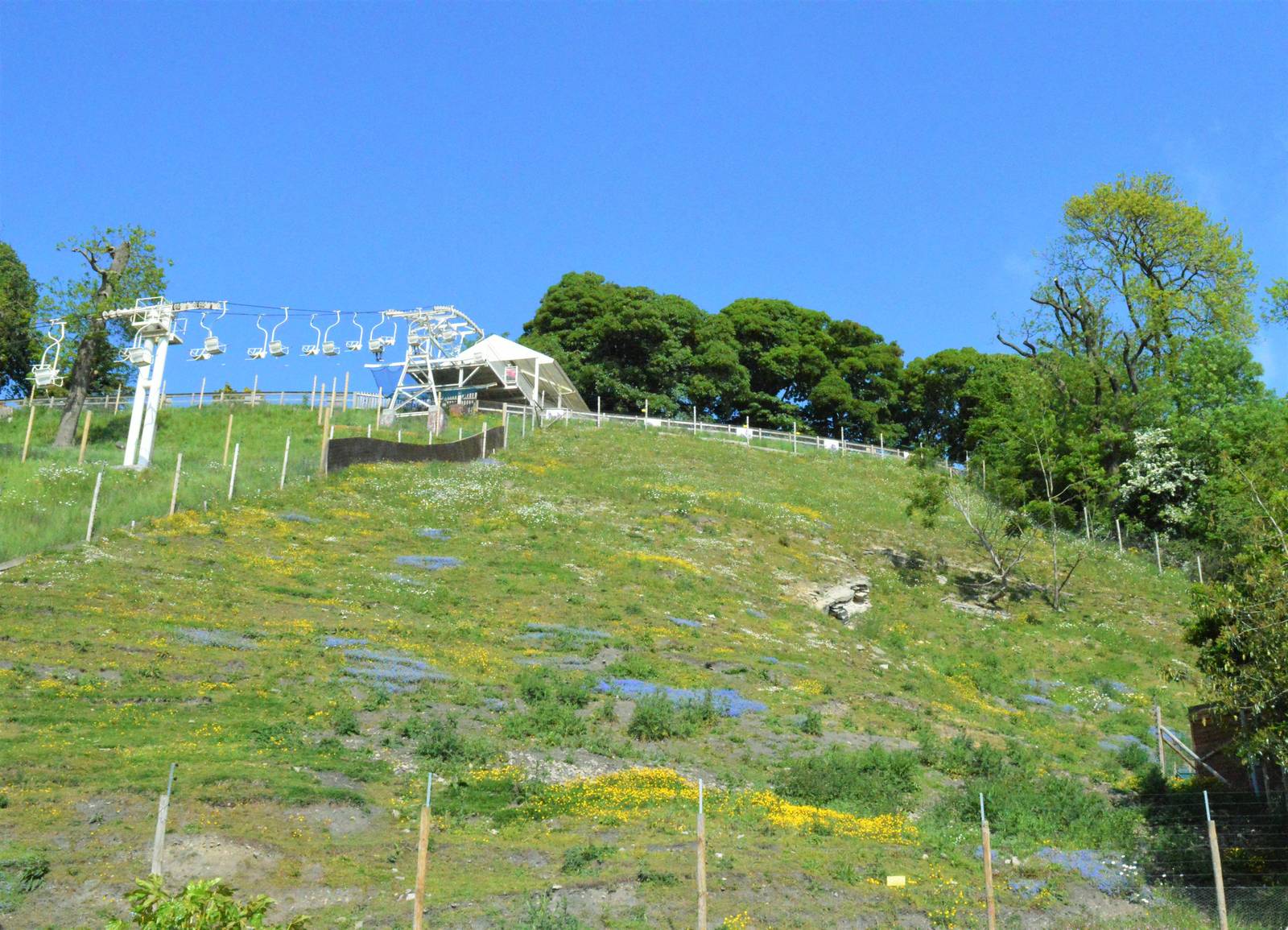 Gelada baboon enclosure