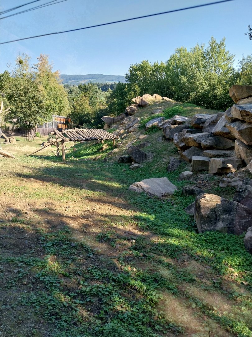 Gelada baboon enclosure