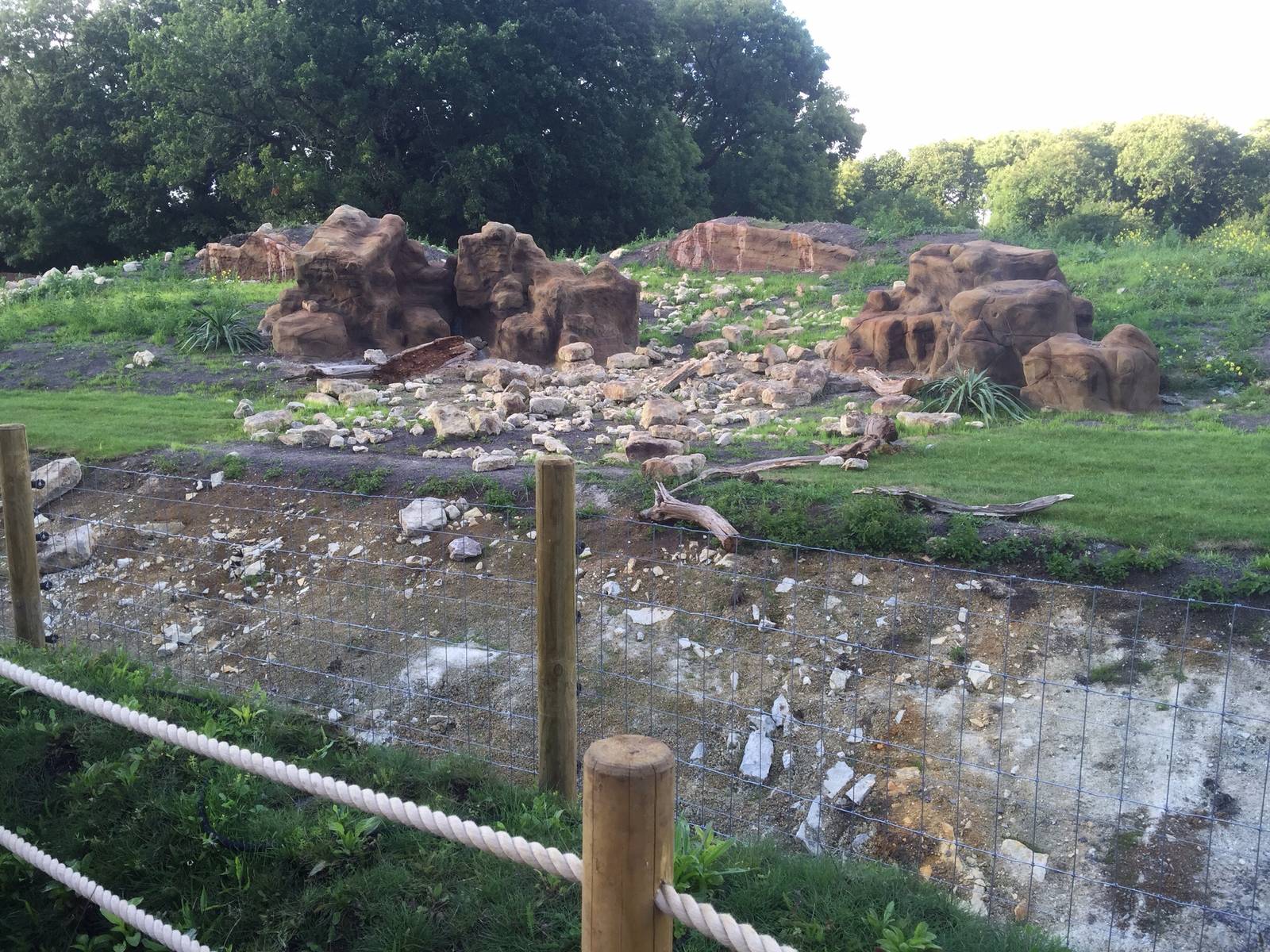 Gelada Baboon Exhibit