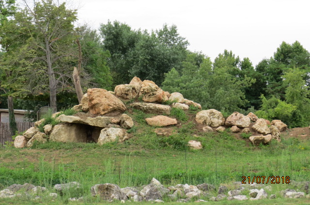 Gelada Baboon Exhibit
