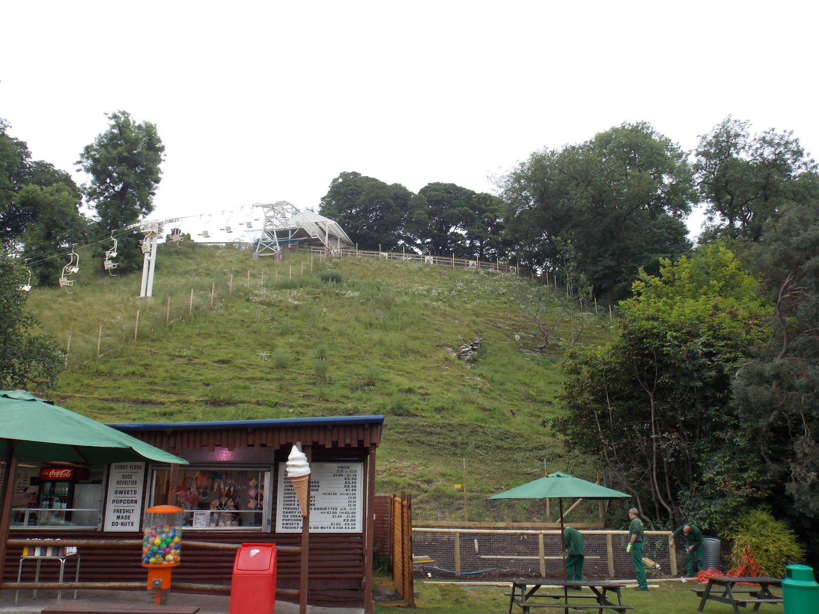 Gelada Baboon hillside