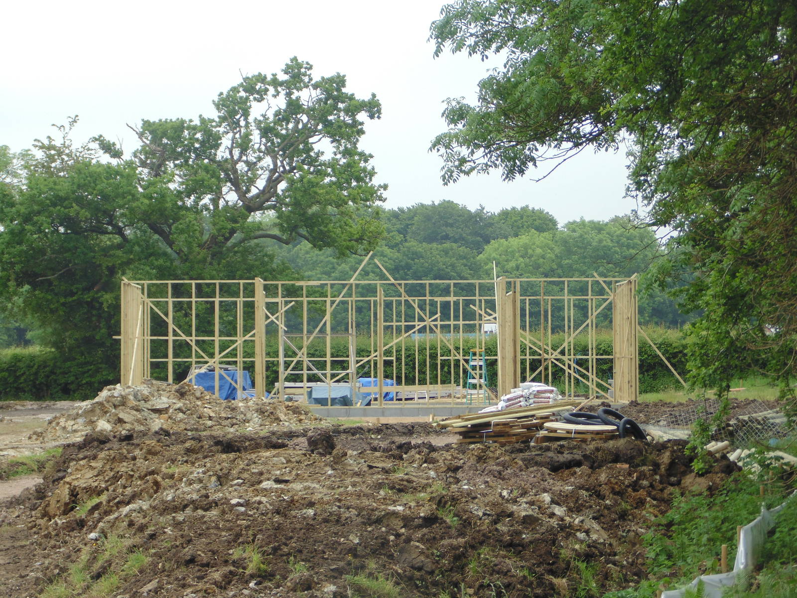 Gelada Baboon Housing