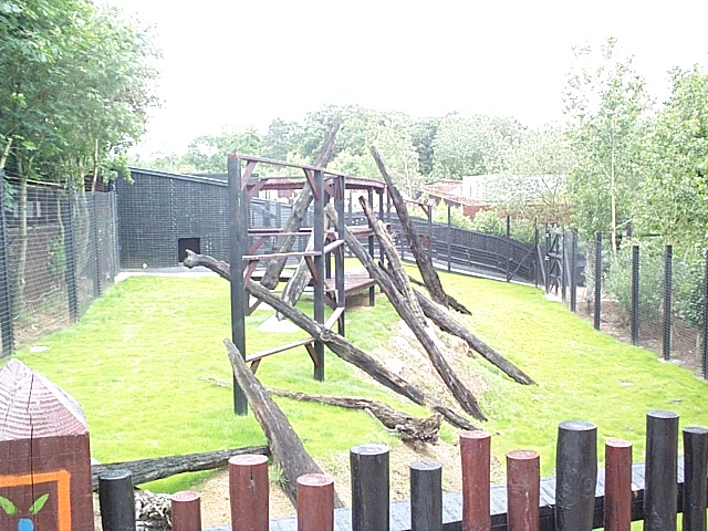 gelada baboons enclosure