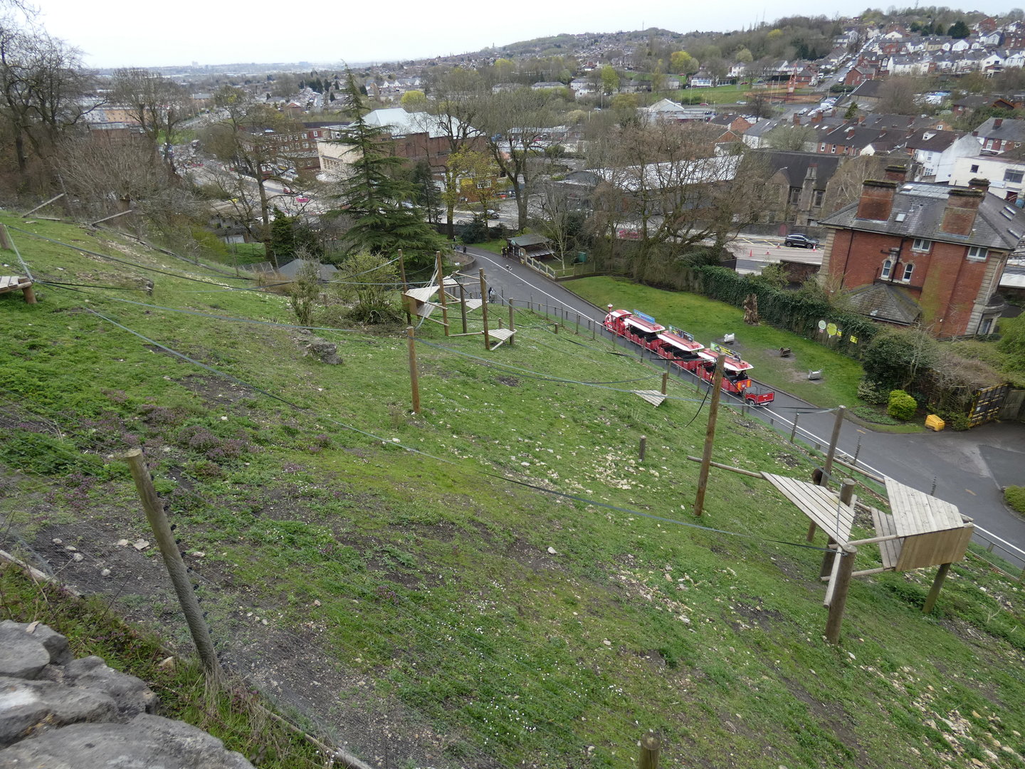 Gelada bachelor enclosure