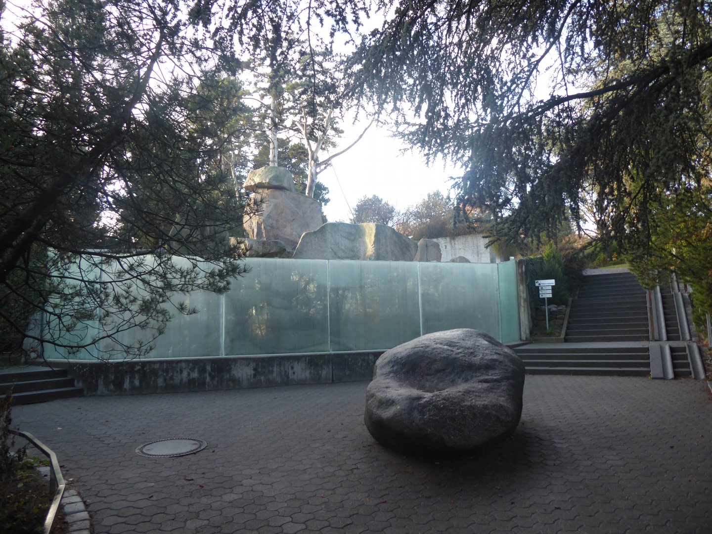 Gelada, Barbary sheep and Rock hyrax exhibit 011218