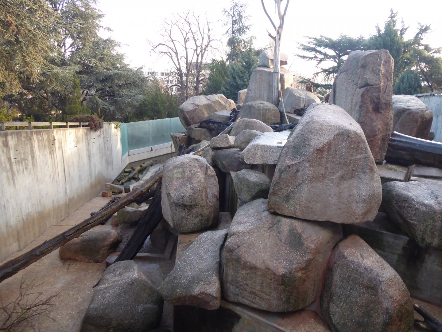 Gelada, Barbary sheep, Rock hyrax exhibit 011218