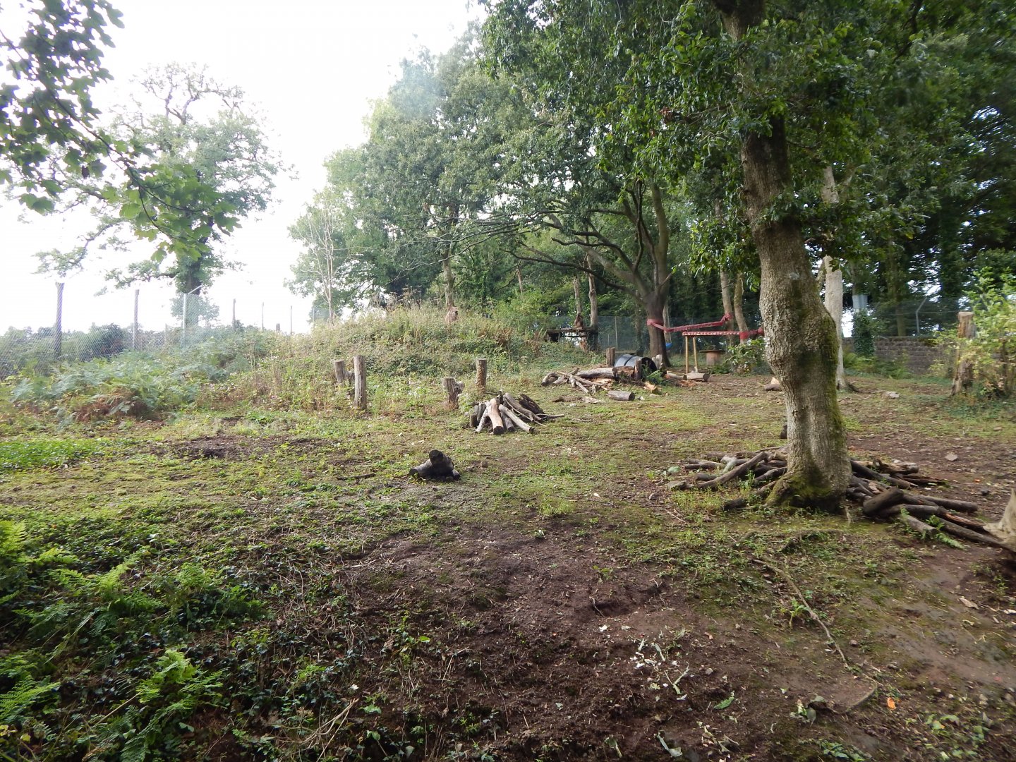 Gelada enclosure 050925