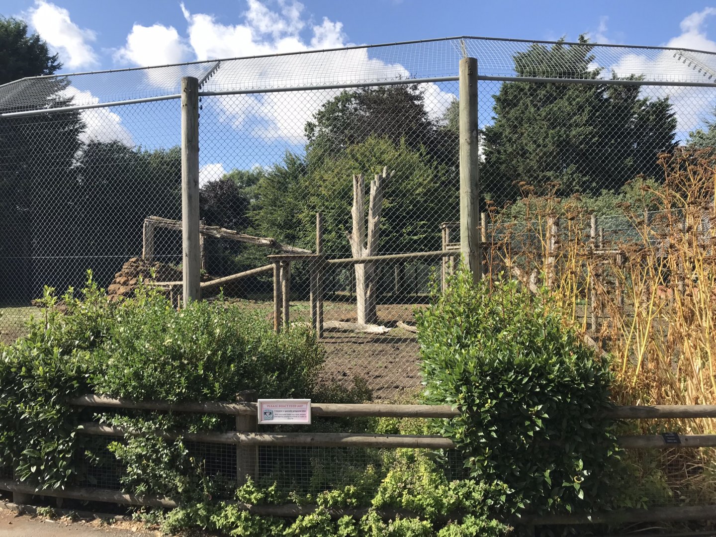 Gelada enclosure 100818