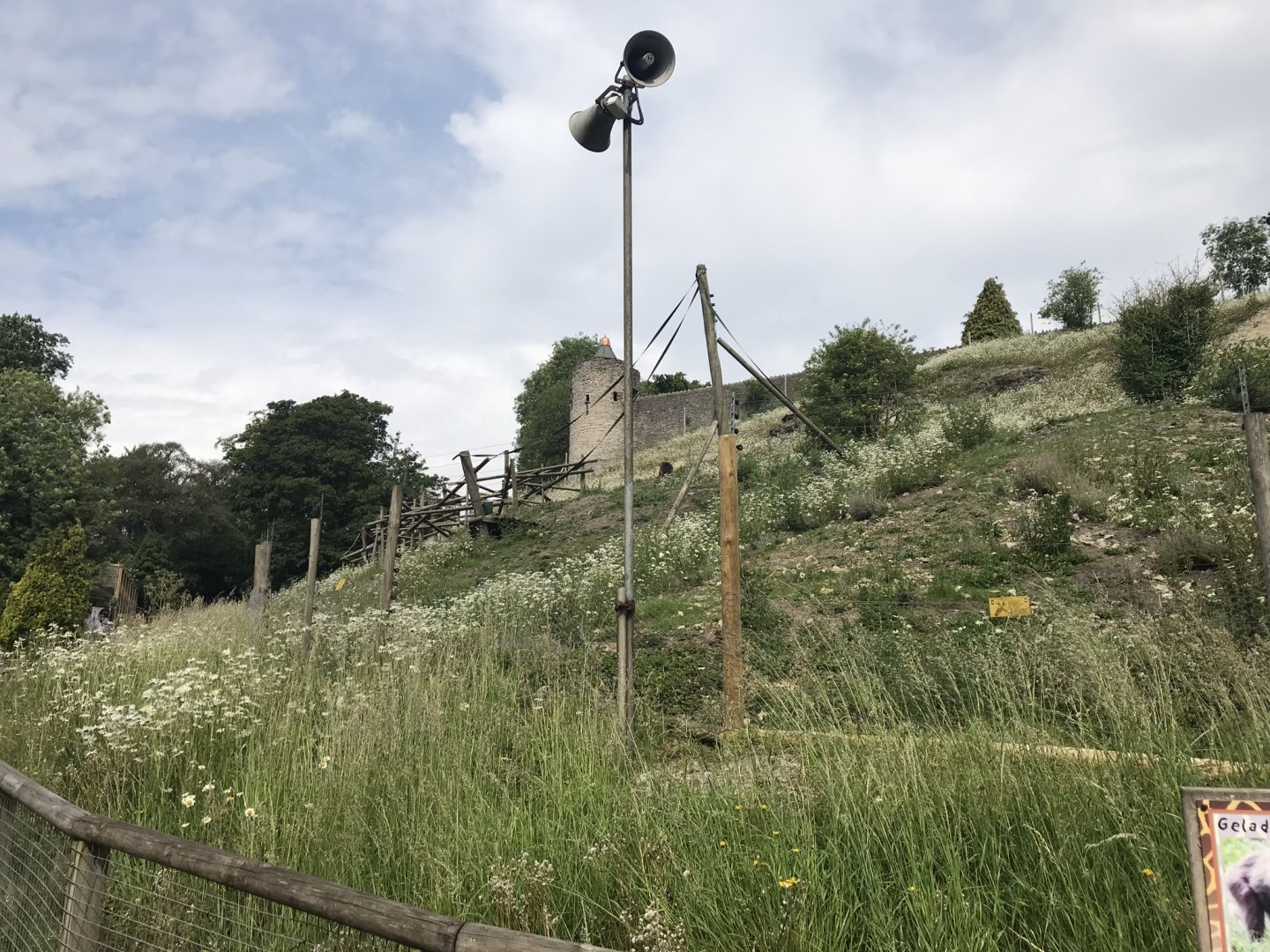 Gelada enclosure 230619
