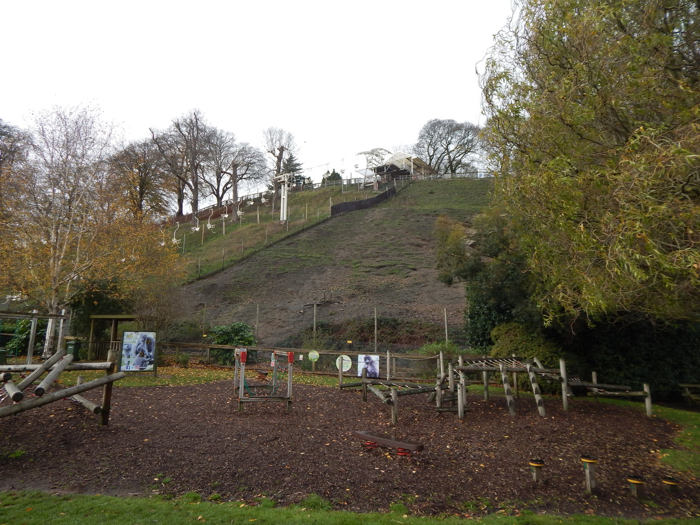 Gelada enclosure 241122