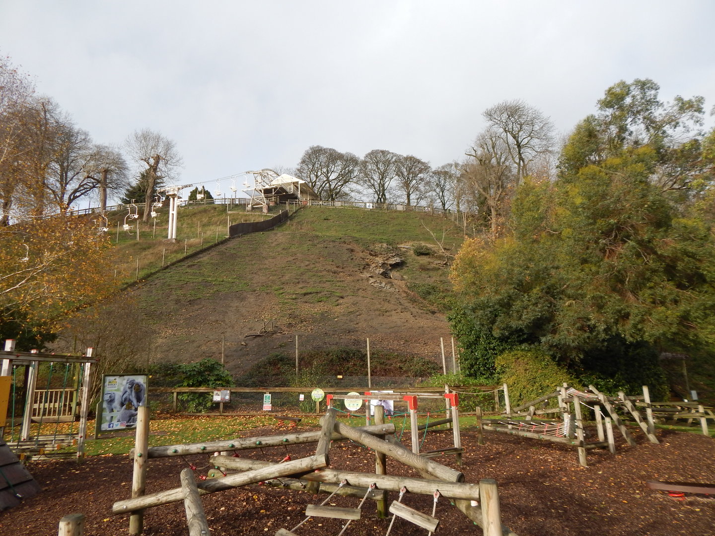 Gelada enclosure 241122
