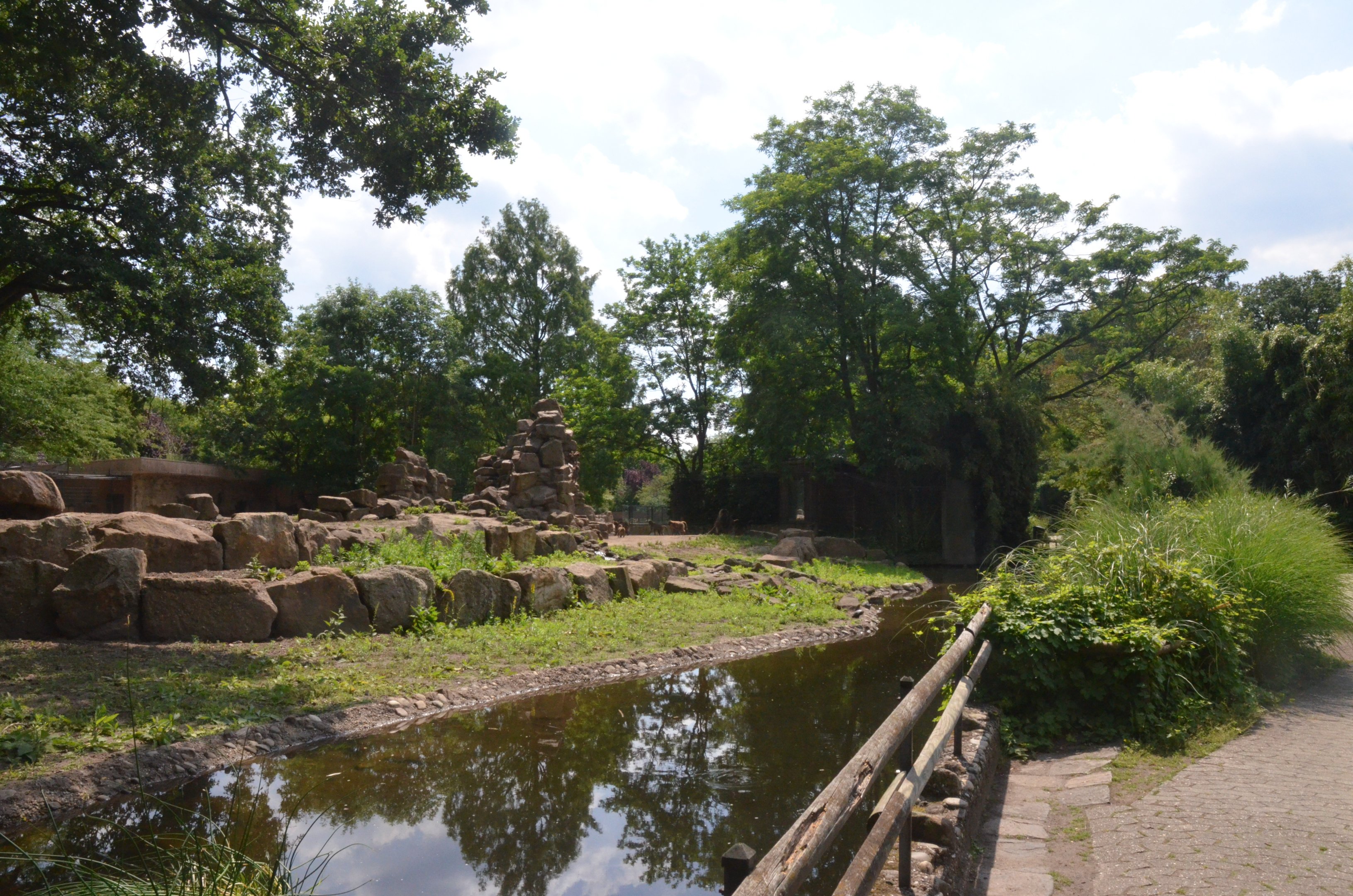 Gelada Enclosure at Rheine, 18/06/19
