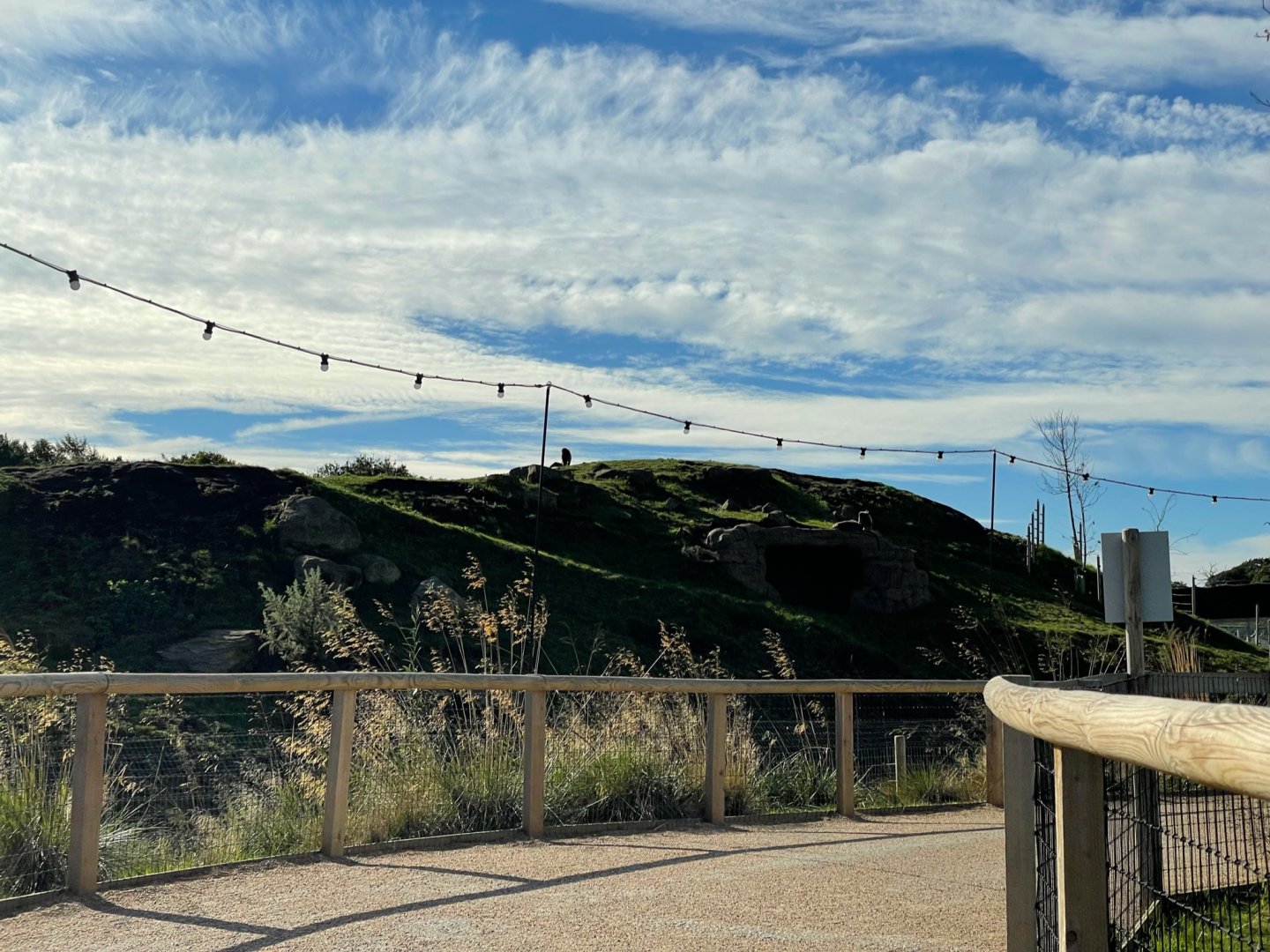 Gelada Enclosure at Yorkshire Wildlife Park (October 2021)
