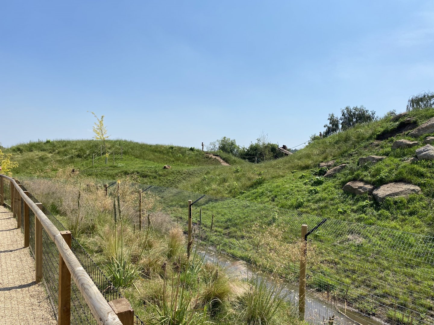 Gelada Enclosure