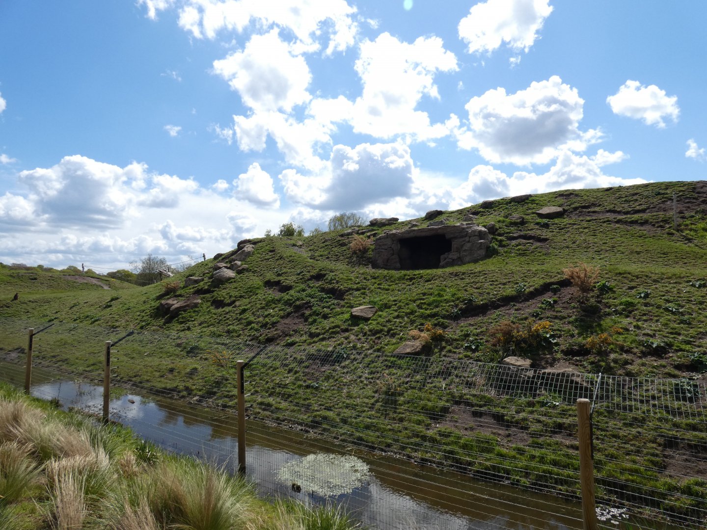 Gelada enclosure