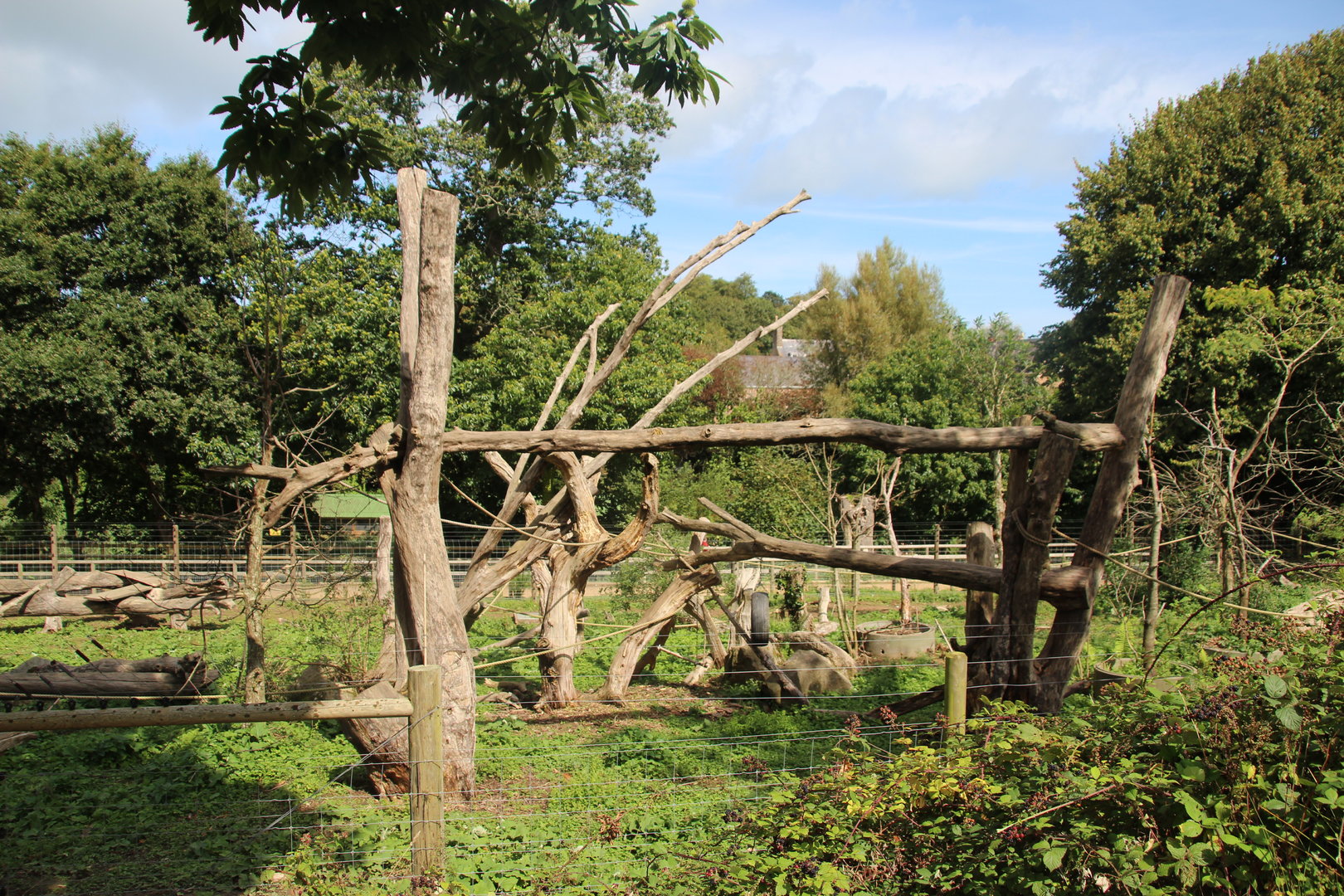 Gelada Enclosure