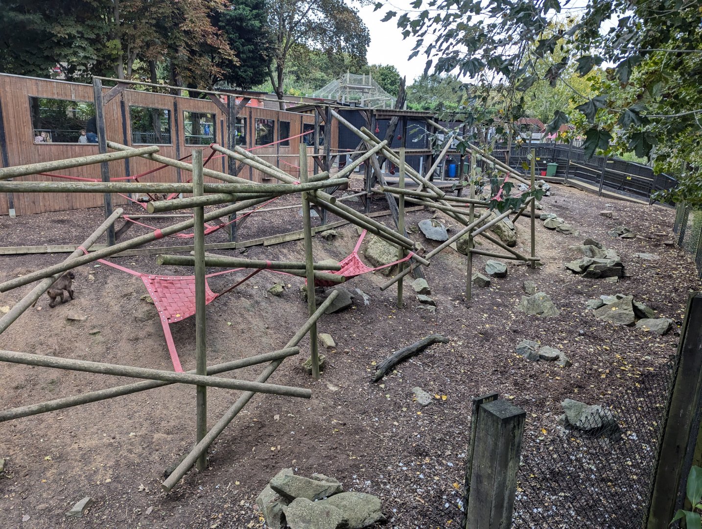 Gelada Enclosure