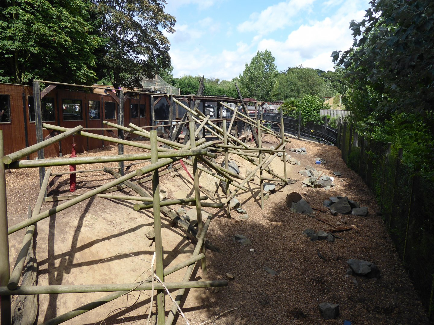 Gelada exhibit 050819