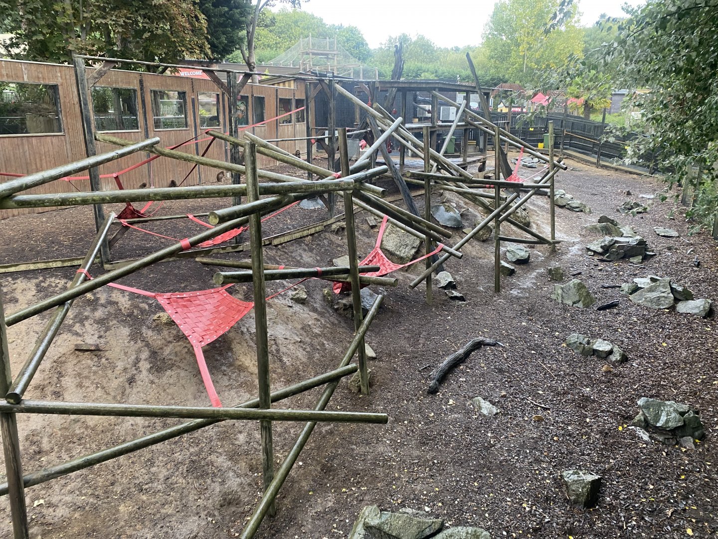 Gelada exhibit 110925