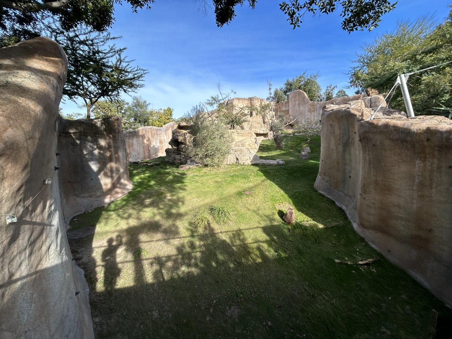 Gelada Exhibit - Africa Rocks