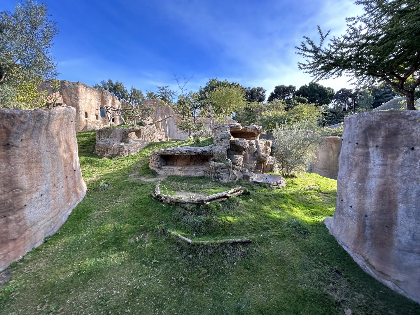 Gelada Exhibit - Africa Rocks