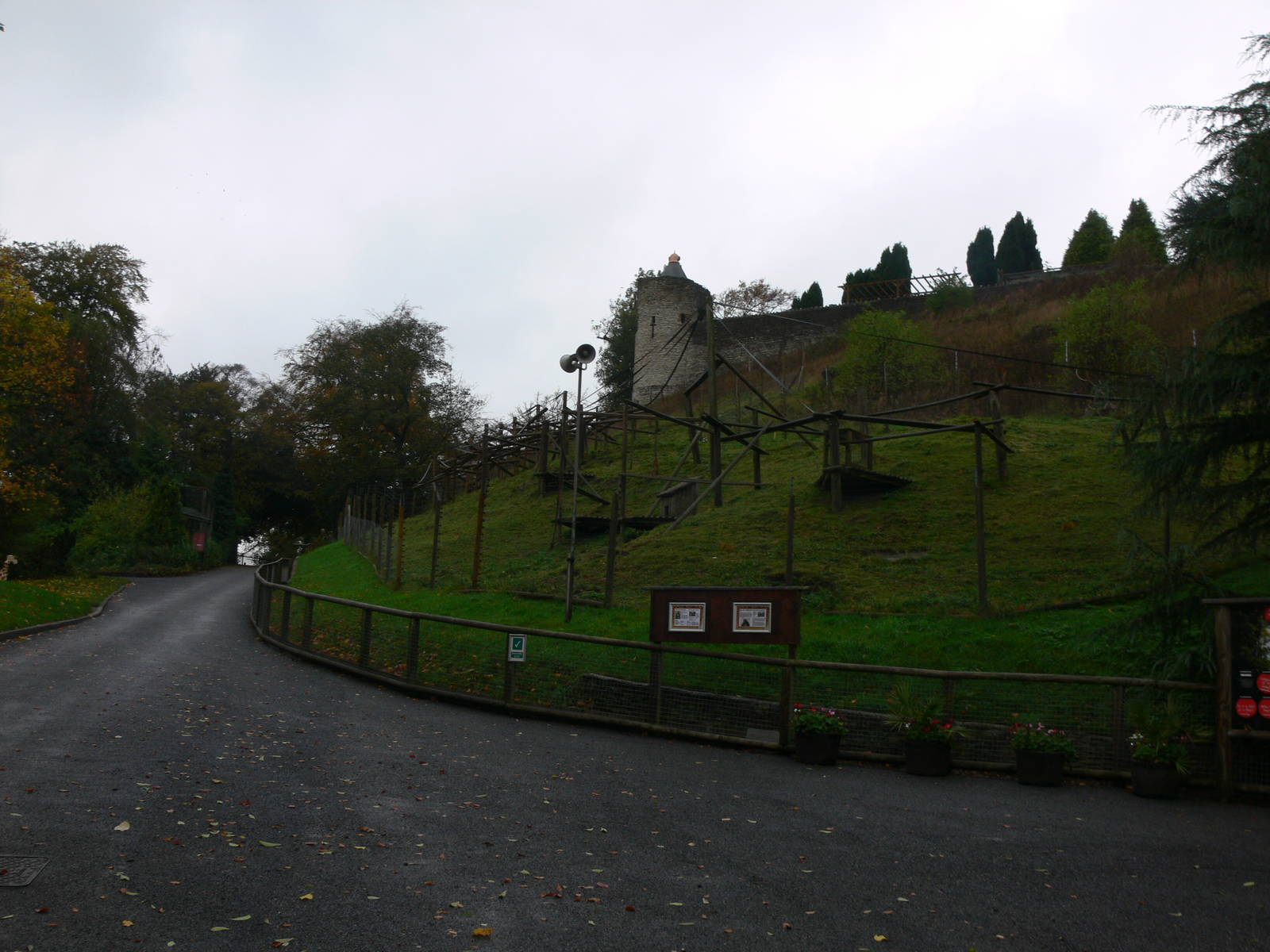 Gelada exhibit at Dudley, 02/11/13