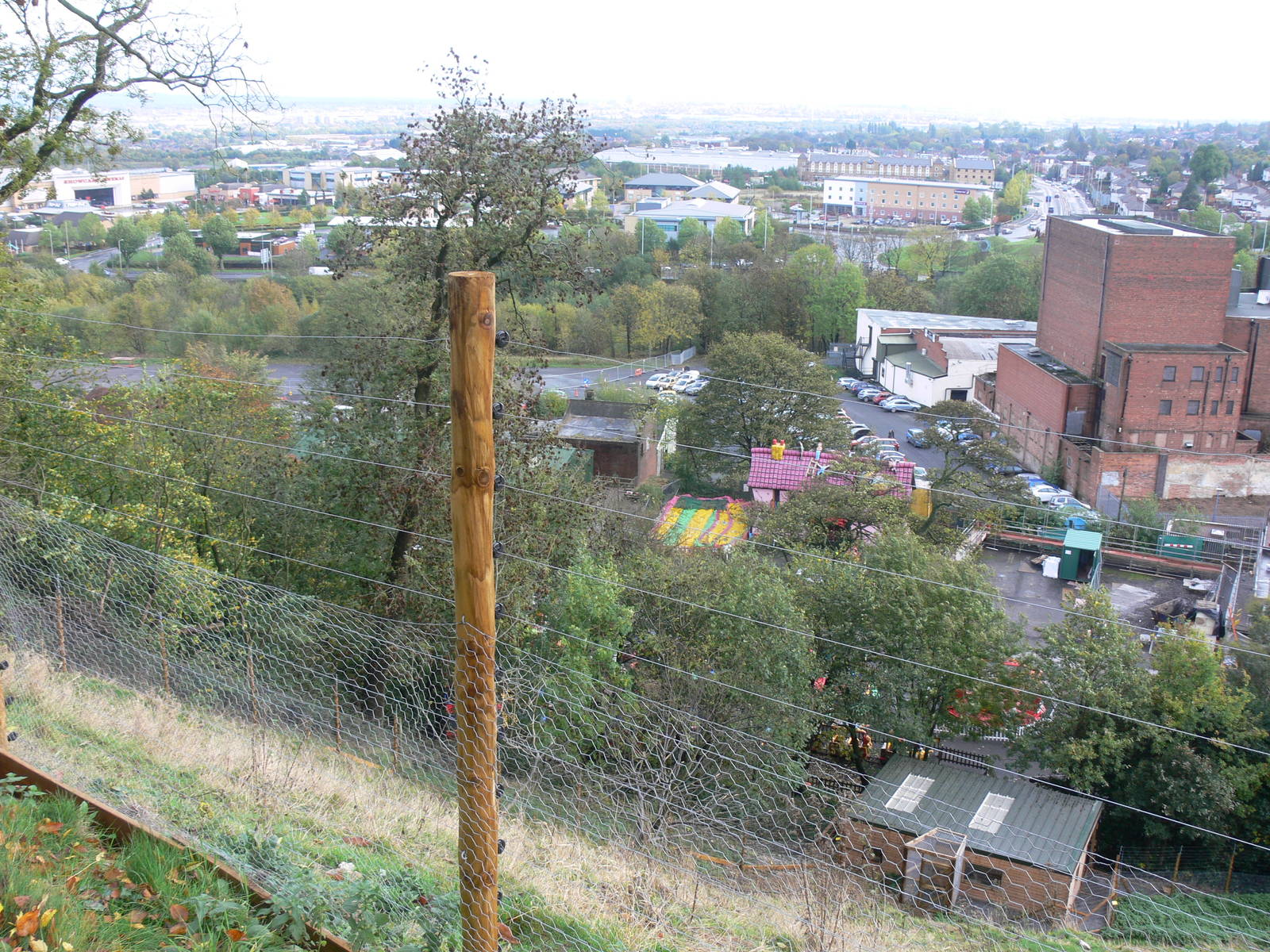 Gelada exhibit at Dudley, 02/11/13