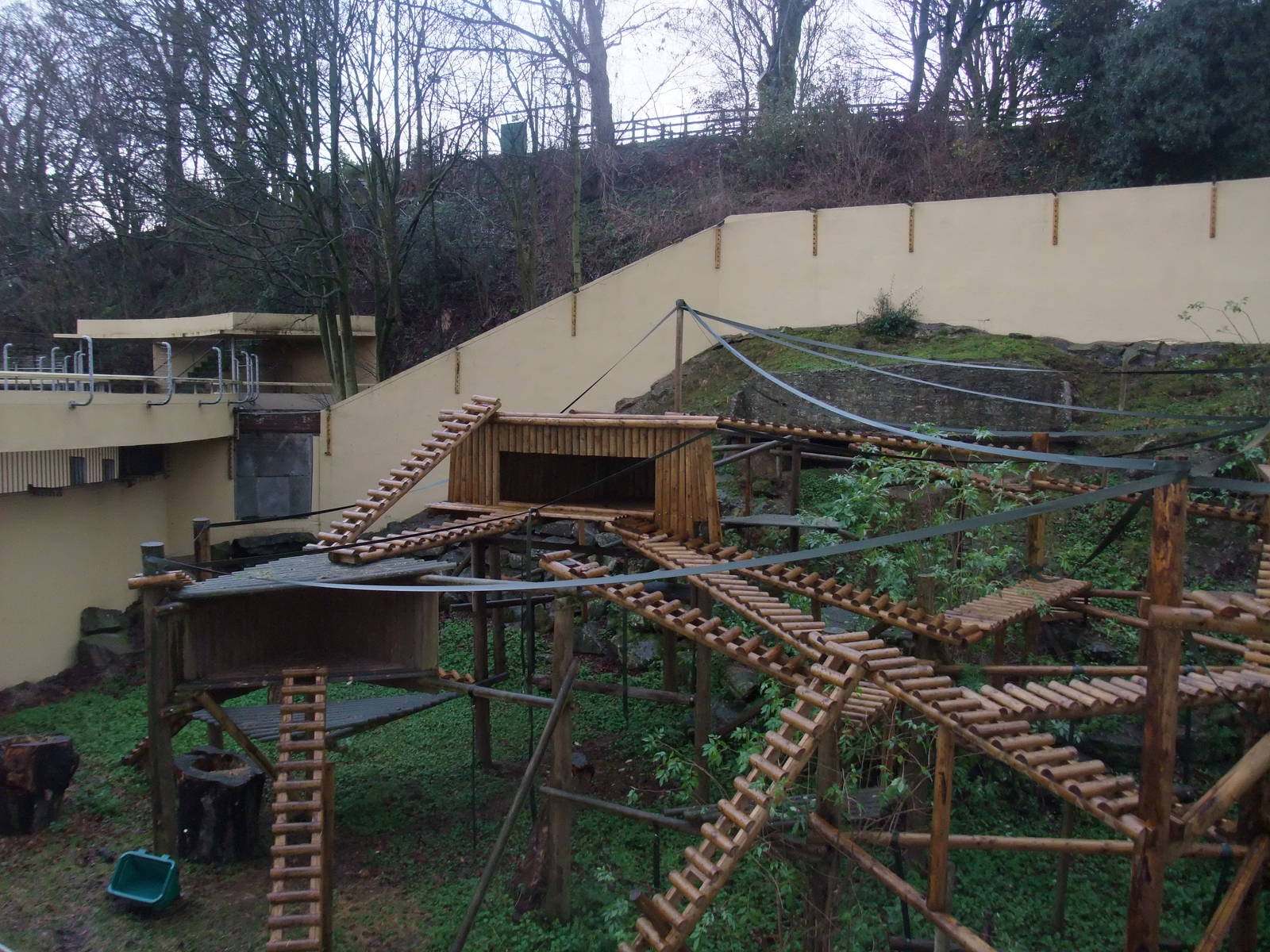 Gelada Exhibit at Dudley, 18/12/11