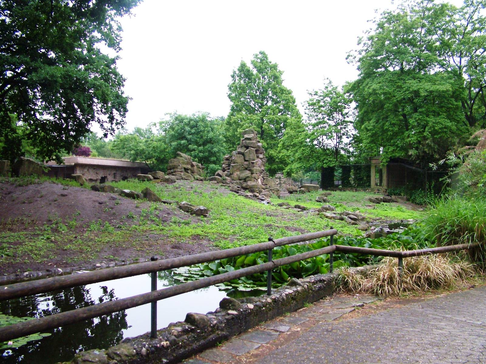 Gelada Exhibit at Rheine, 03/06/12