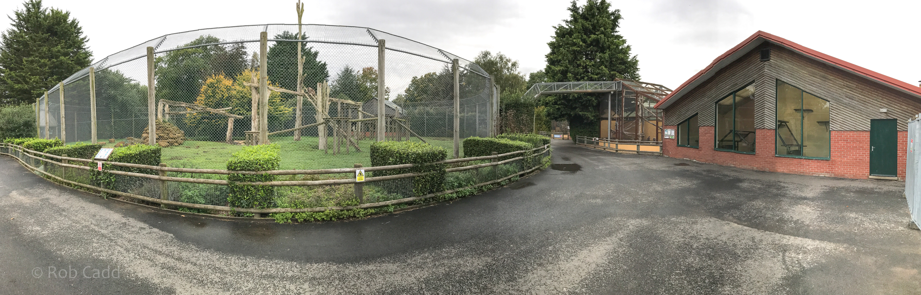 Gelada (exhibit) : Banham Zoo : 29 Sep 2017