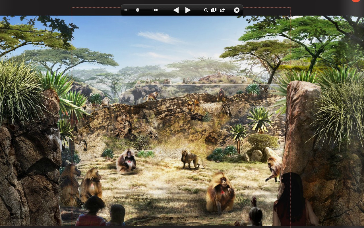 Gelada Exhibit Concept Africa Rocks 2017