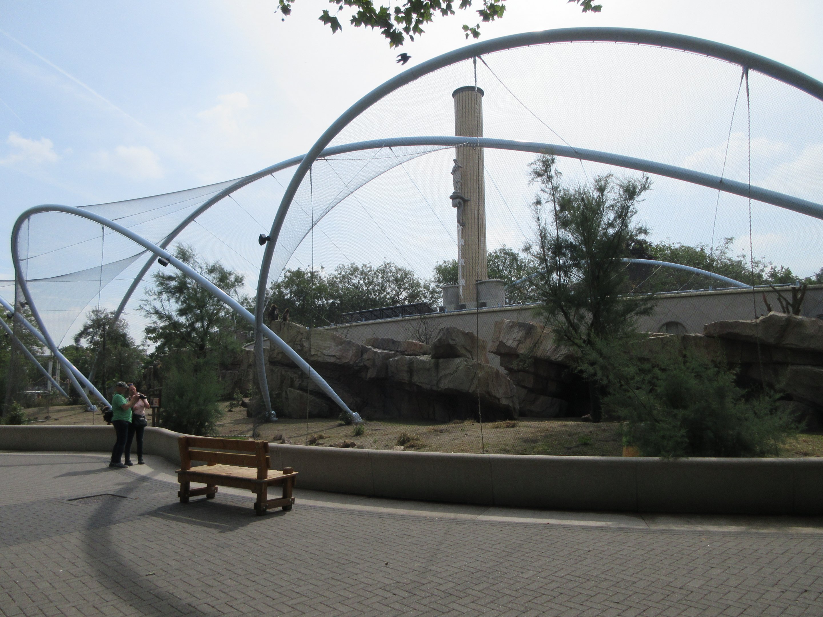 Gelada Exhibit (New in late 2018)