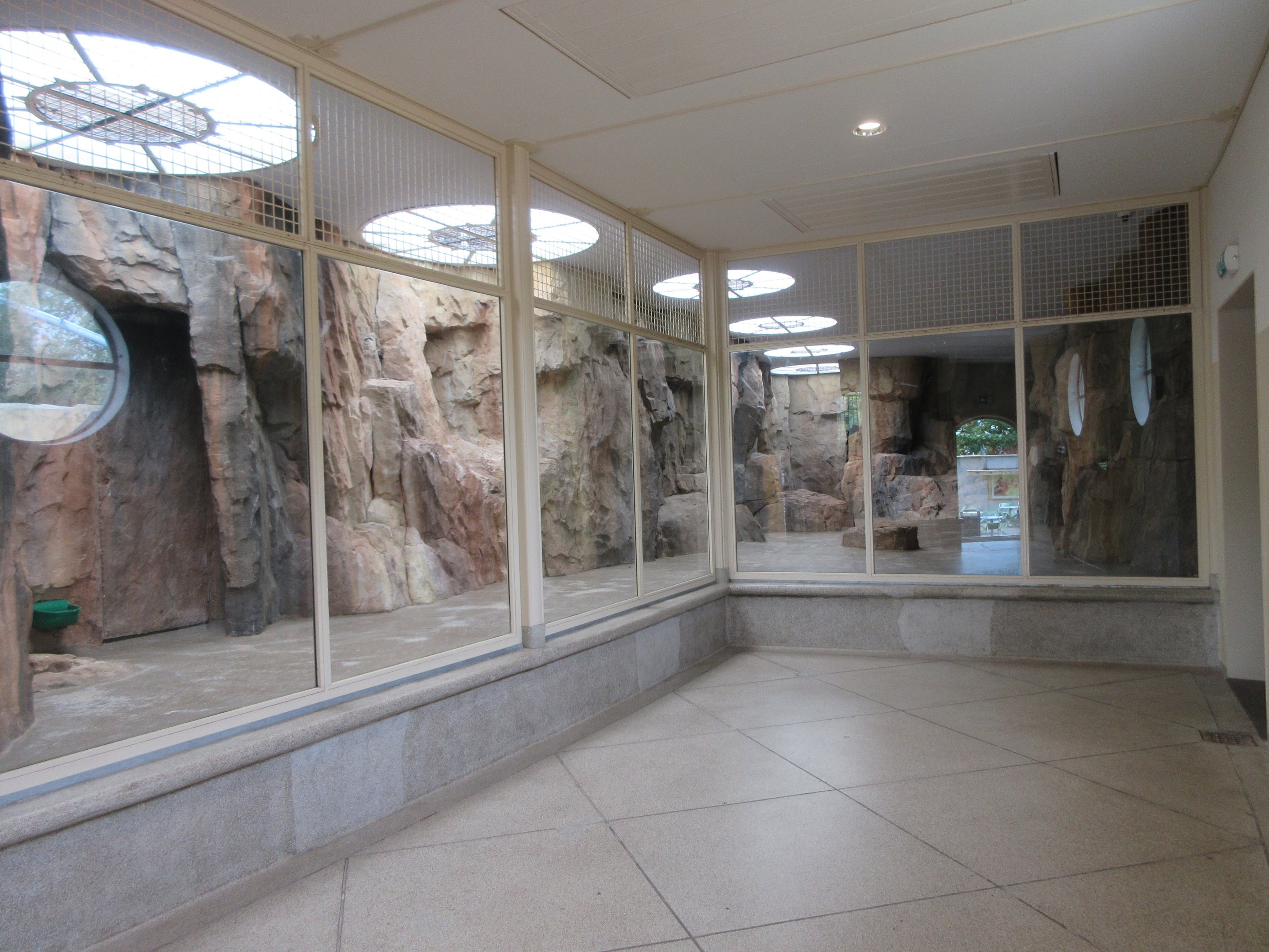 Gelada Exhibit (New in late 2018)