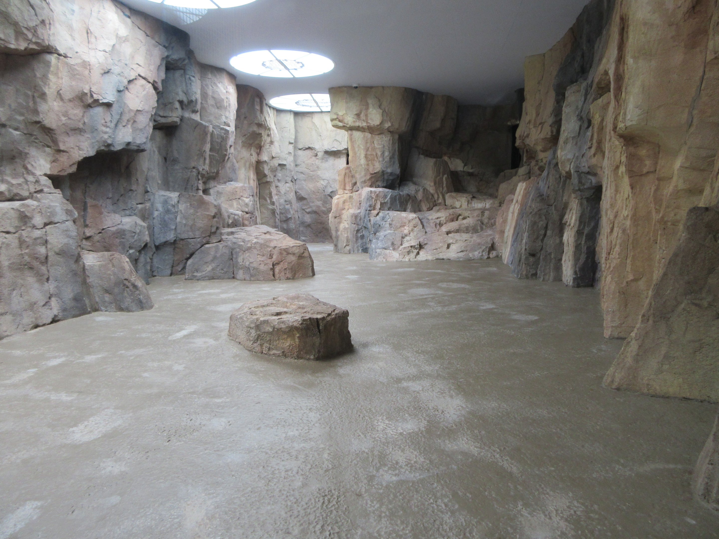 Gelada Exhibit (New in late 2018)