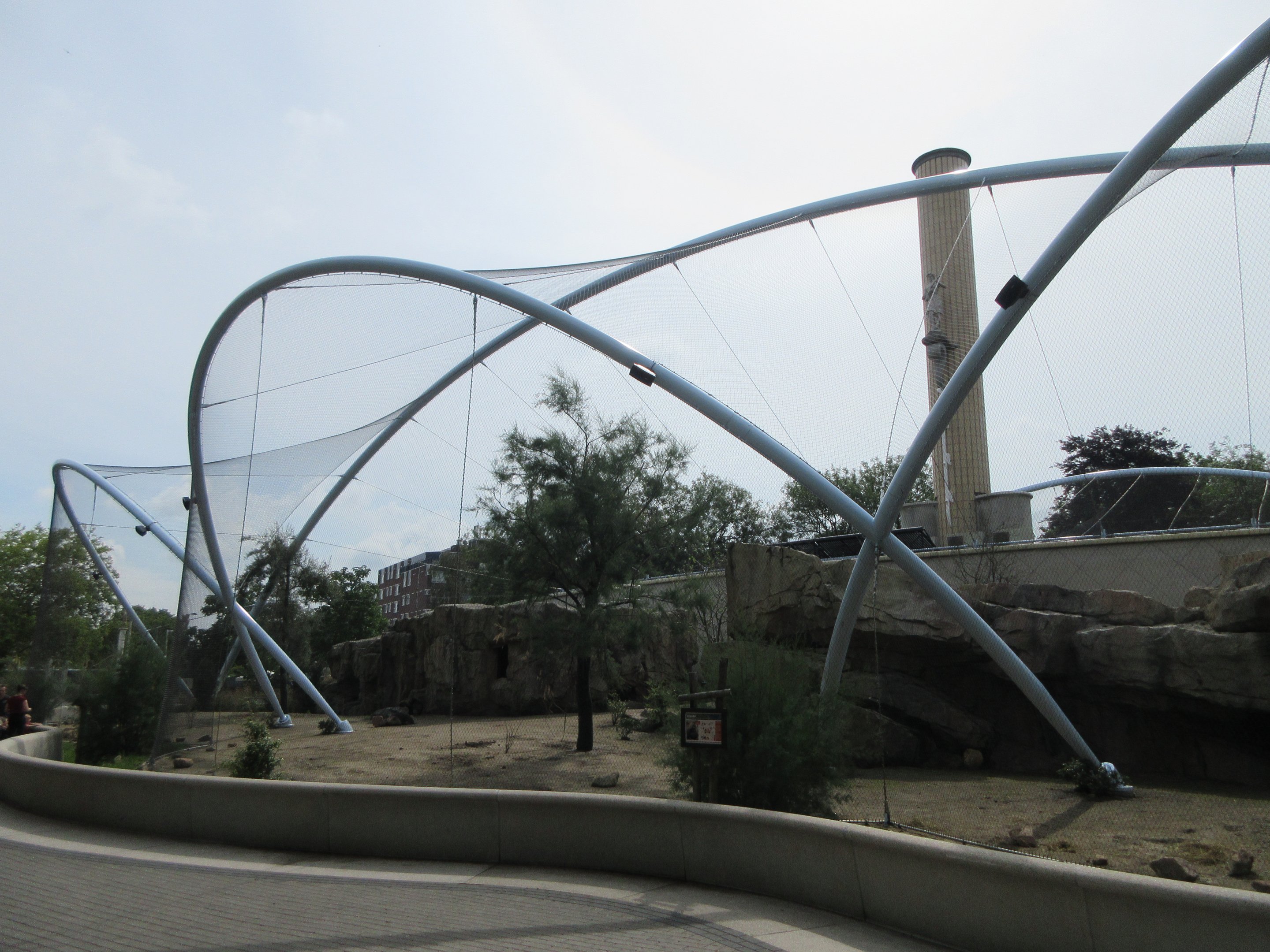 Gelada Exhibit (New in late 2018)