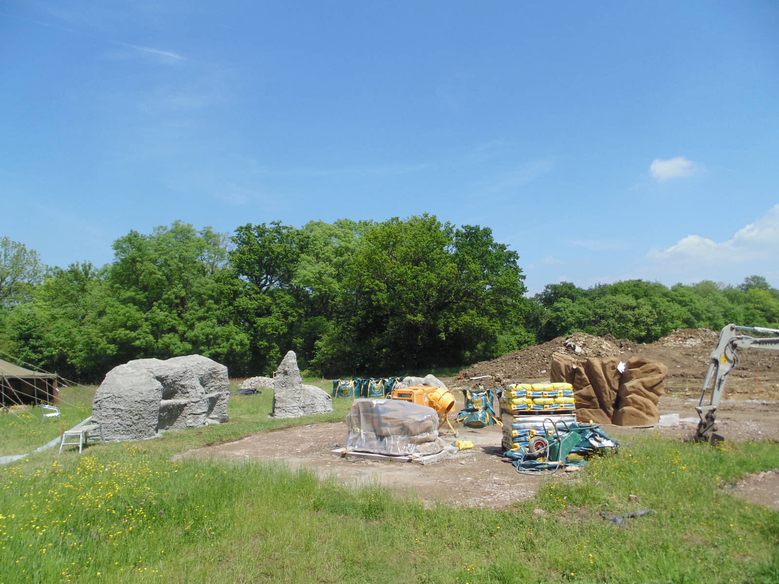 Gelada Exhibit Progress