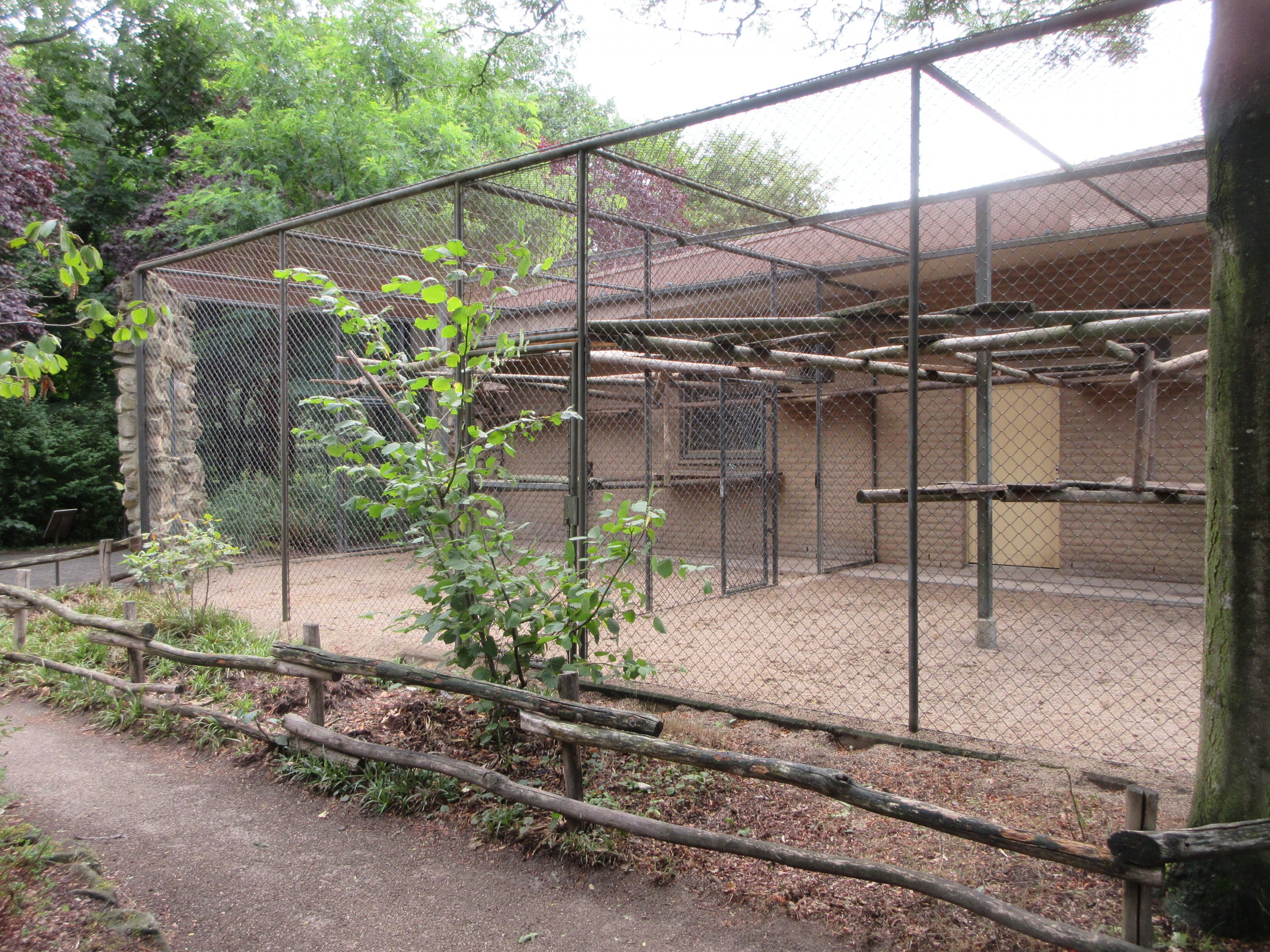 Gelada Exhibit - side enclosures