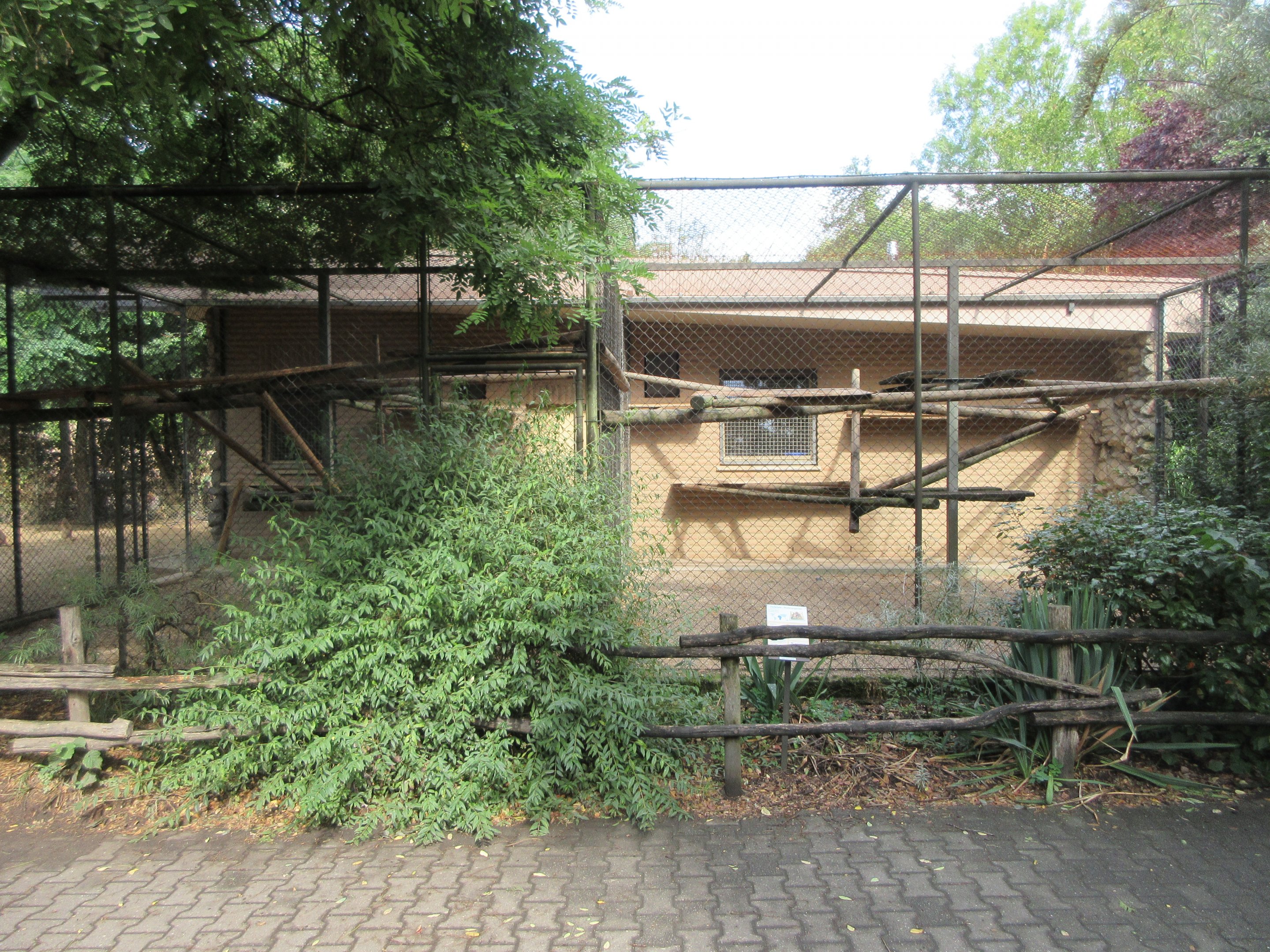 Gelada Exhibit - side enclosures