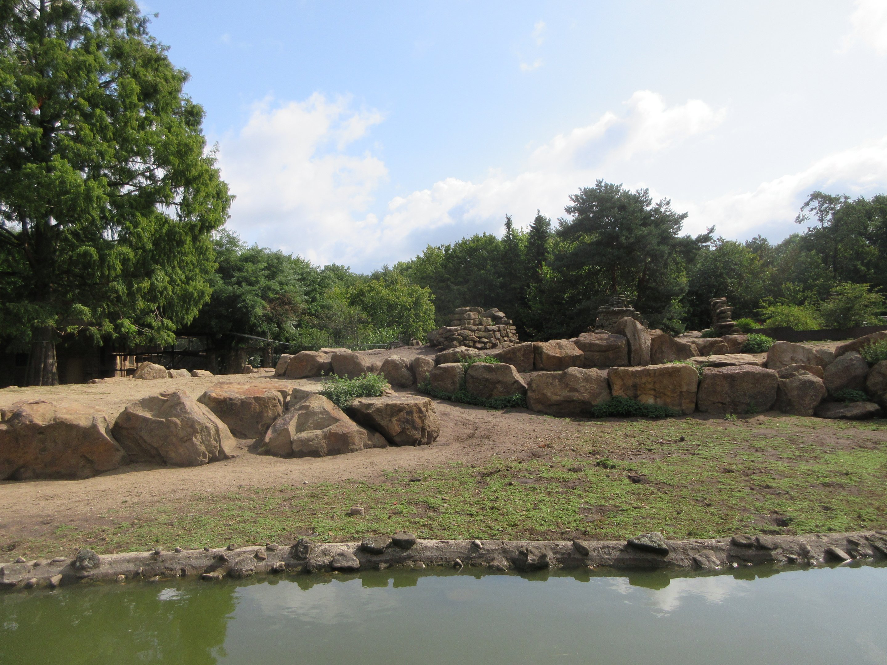 Gelada Exhibit (the zoo has 78 Geladas!)