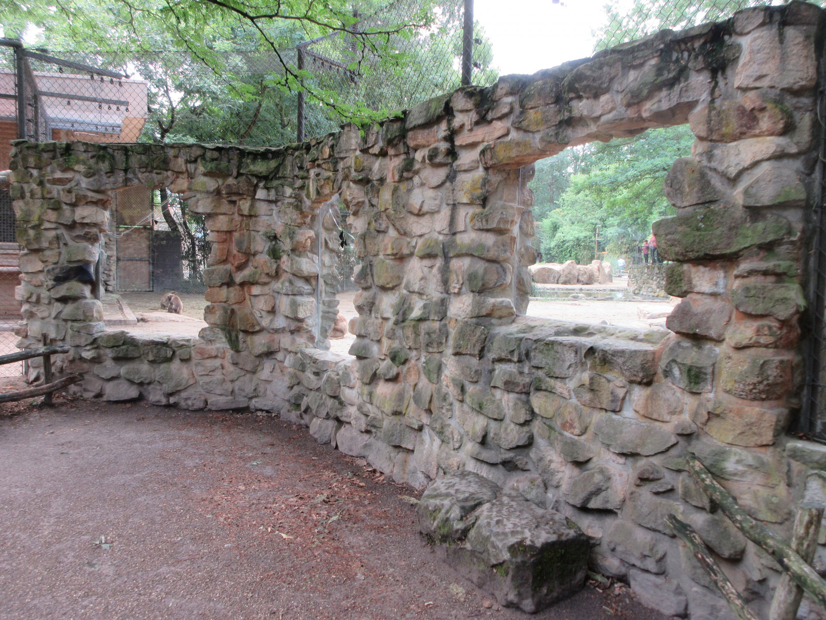 Gelada Exhibit (the zoo has 78 Geladas!)