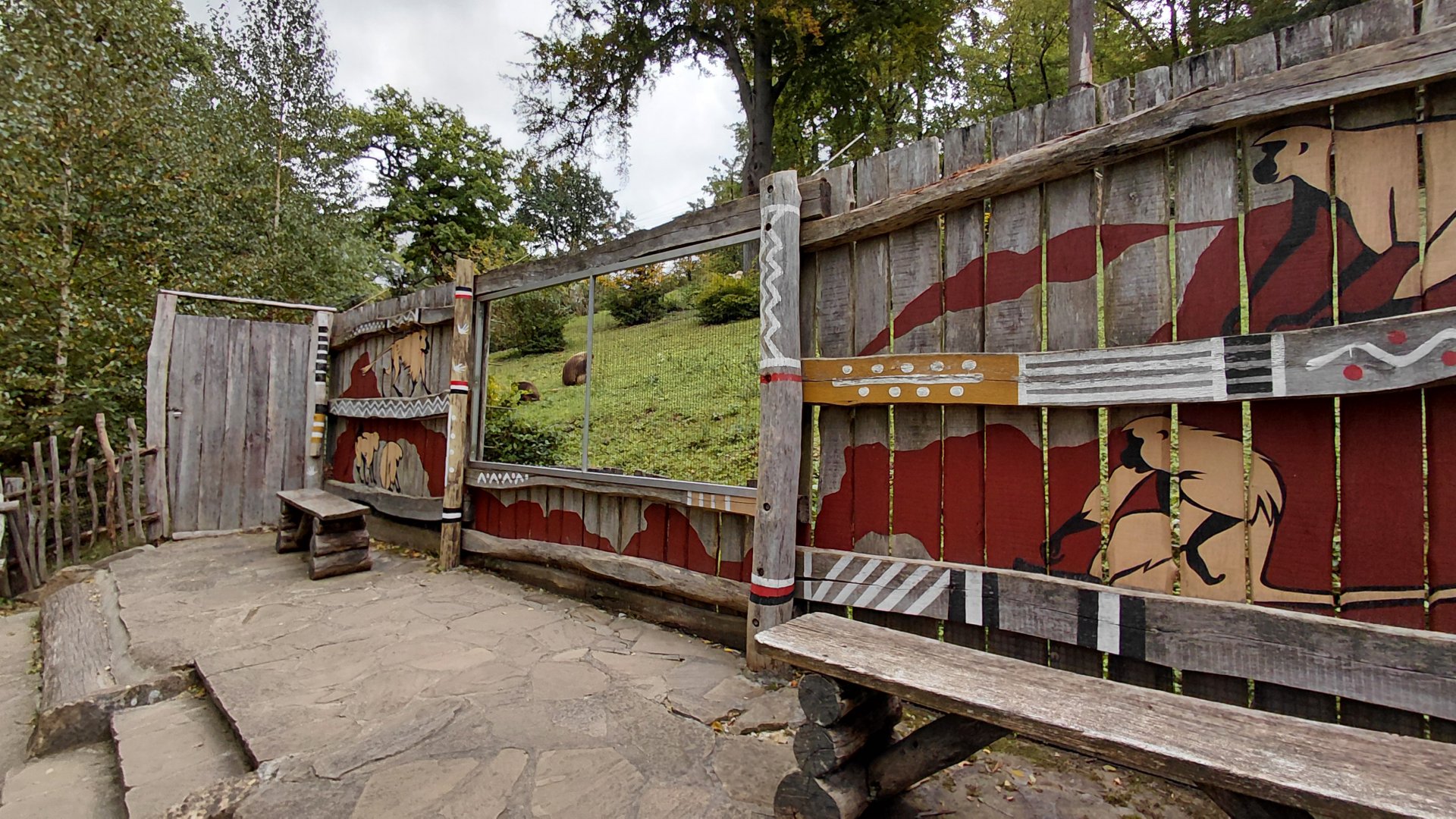 Gelada exhibit - viewing area