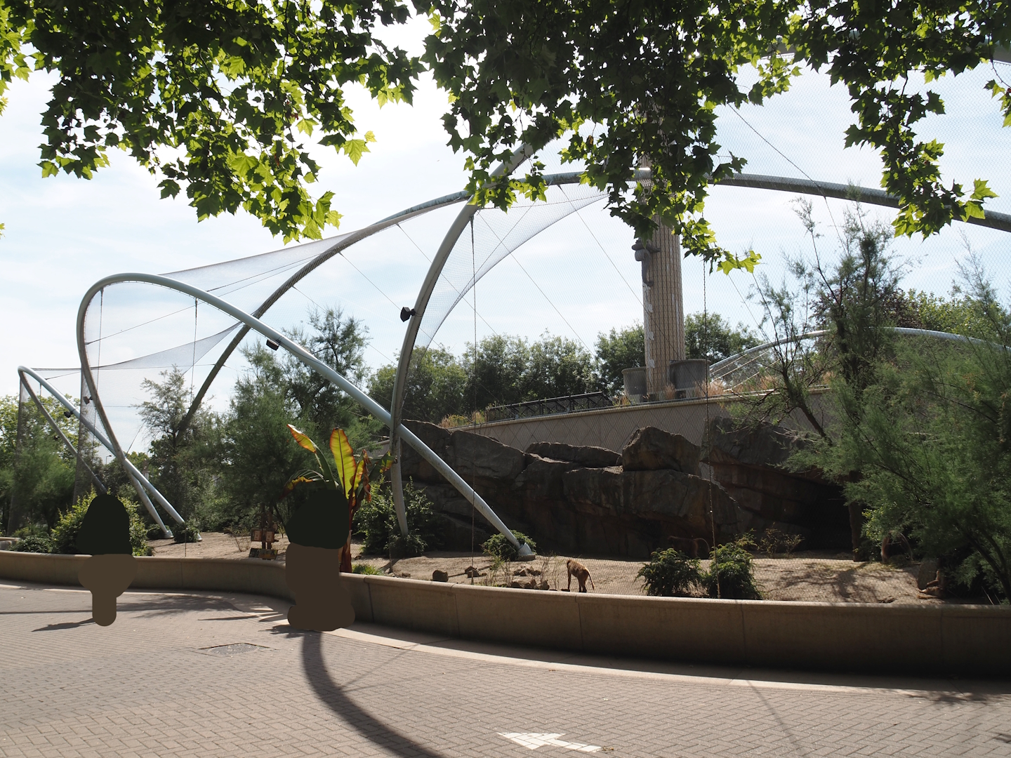 Gelada family group and Blue-winged goose exhibit, 2024-06-30